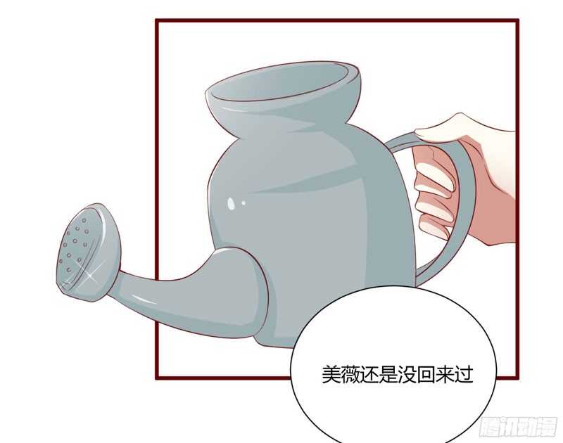 《不良宠婚》第45话 一起回洛家 第13页