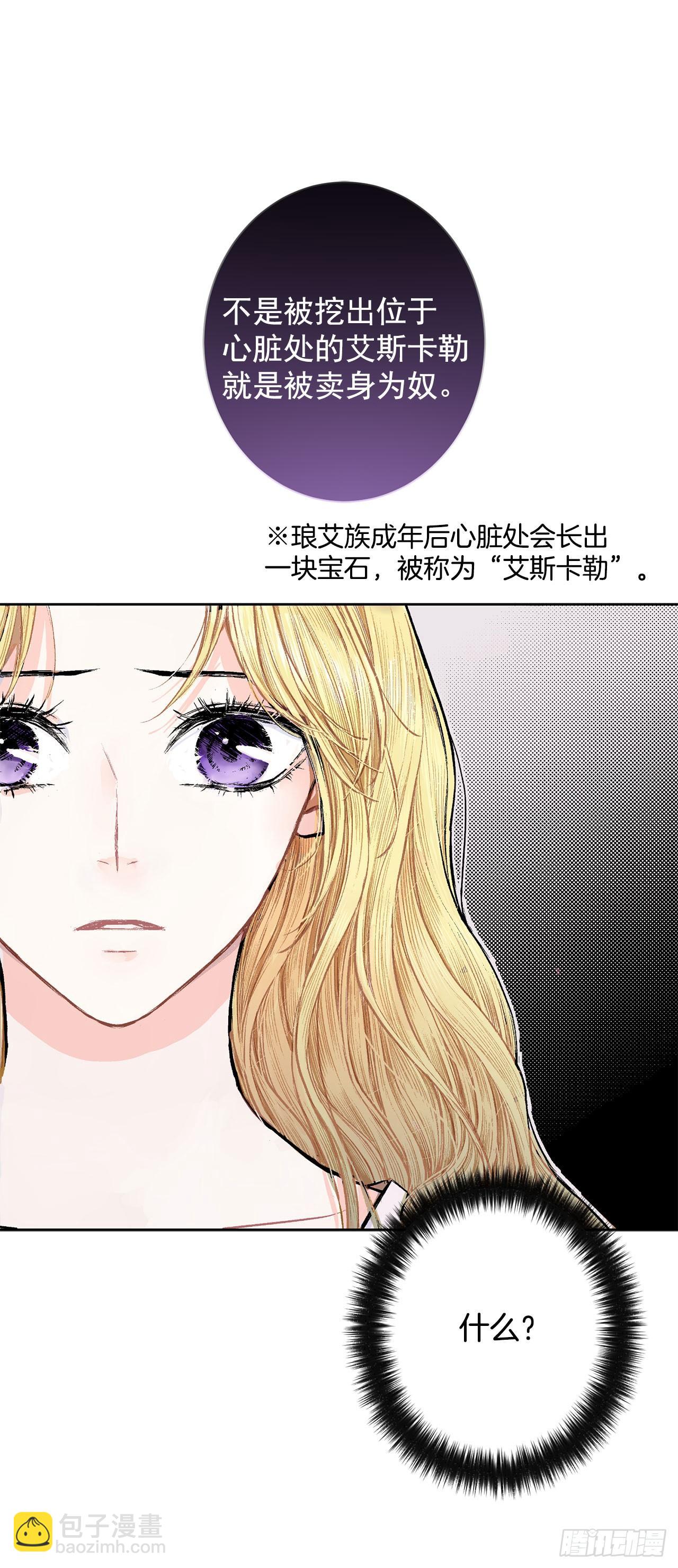 《异族侍女逆袭记》3.前因后果 第15页