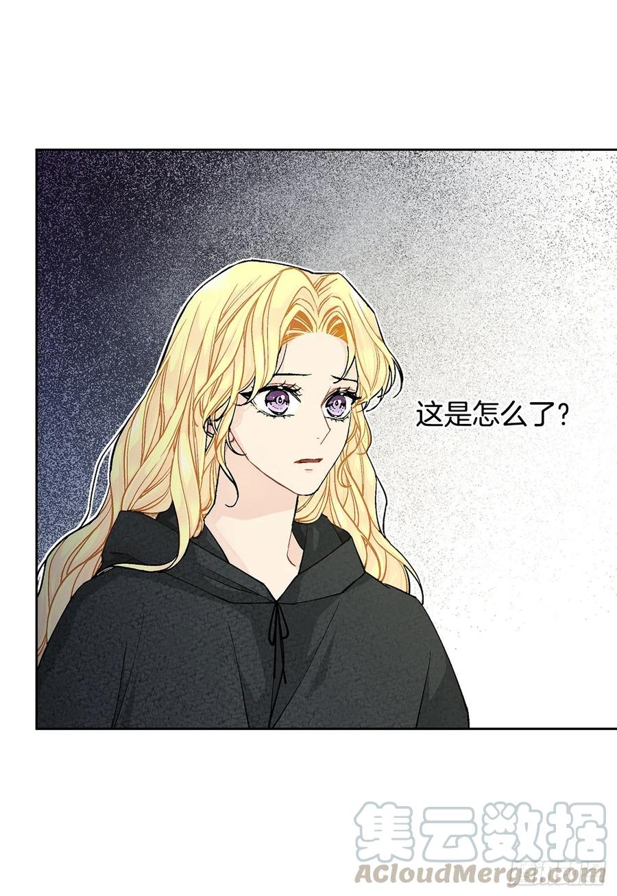 《异族侍女逆袭记》35.偶遇族人 第33页
