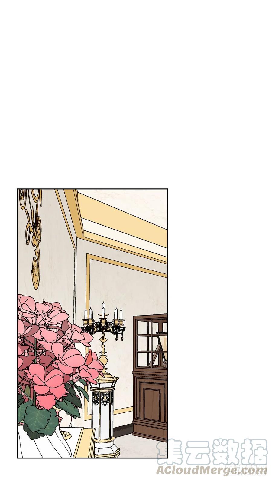 《异族侍女逆袭记》46.再次遇见 第13页