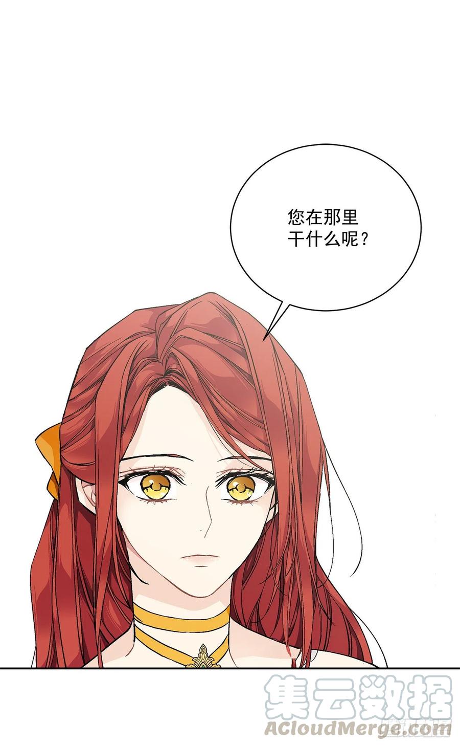 《异族侍女逆袭记》46.再次遇见 第40页