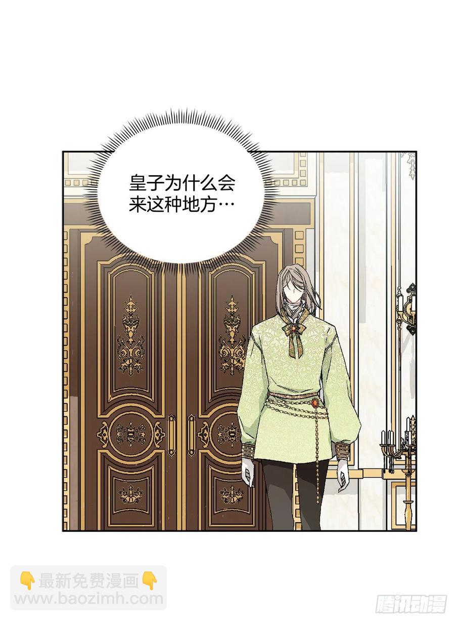 《异族侍女逆袭记》48.二皇子？ 第30页