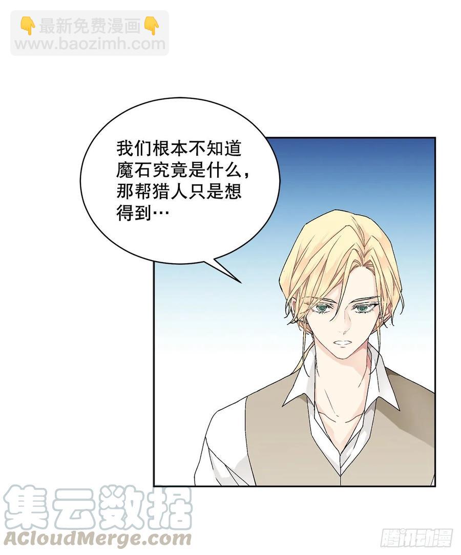 《异族侍女逆袭记》61.侯爵的魔石 第16页