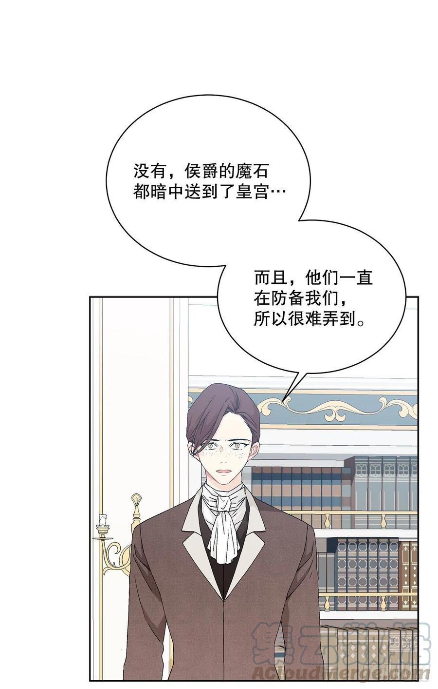 《异族侍女逆袭记》61.侯爵的魔石 第22页