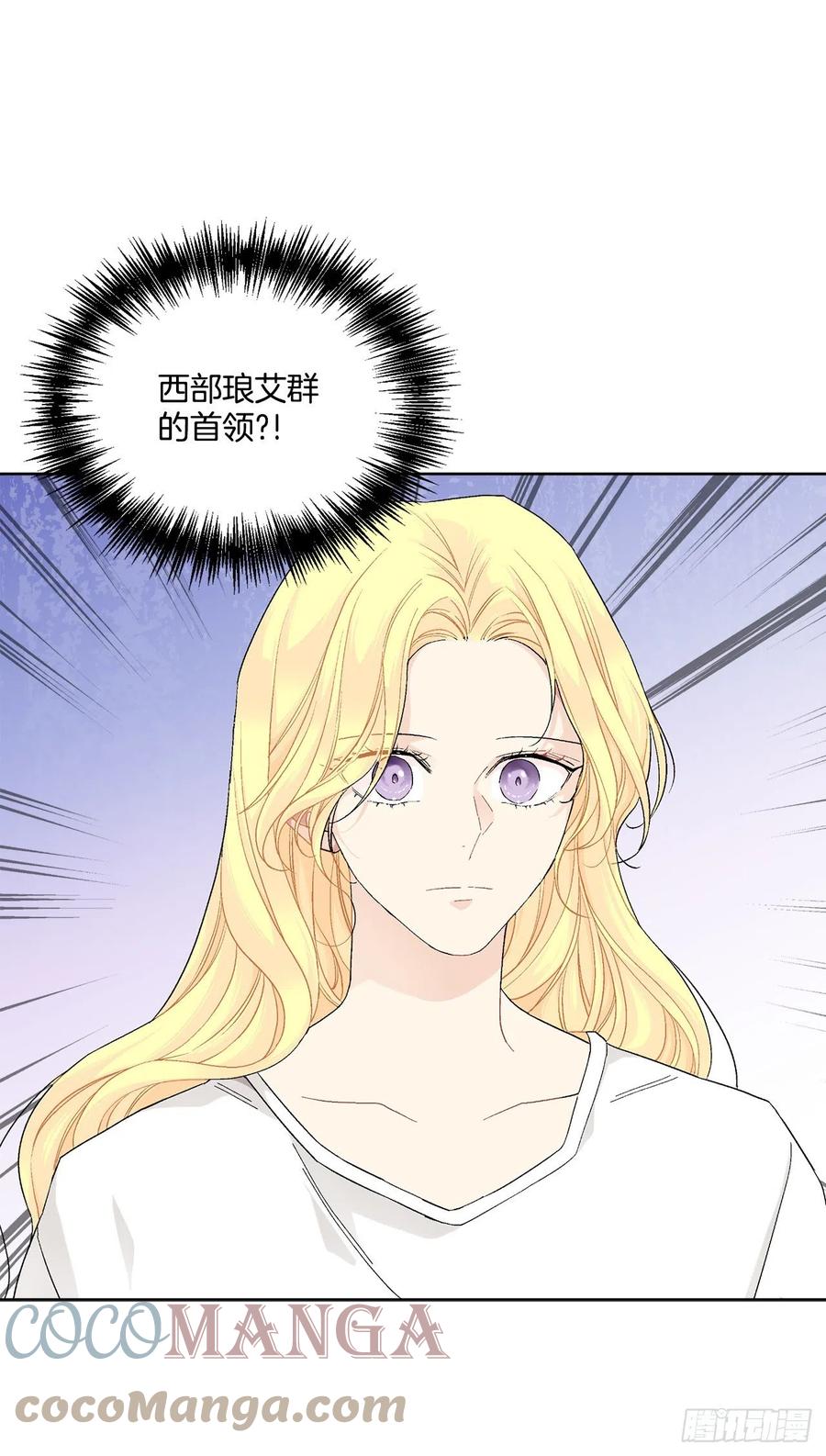 《异族侍女逆袭记》72.西部琅艾群 第22页