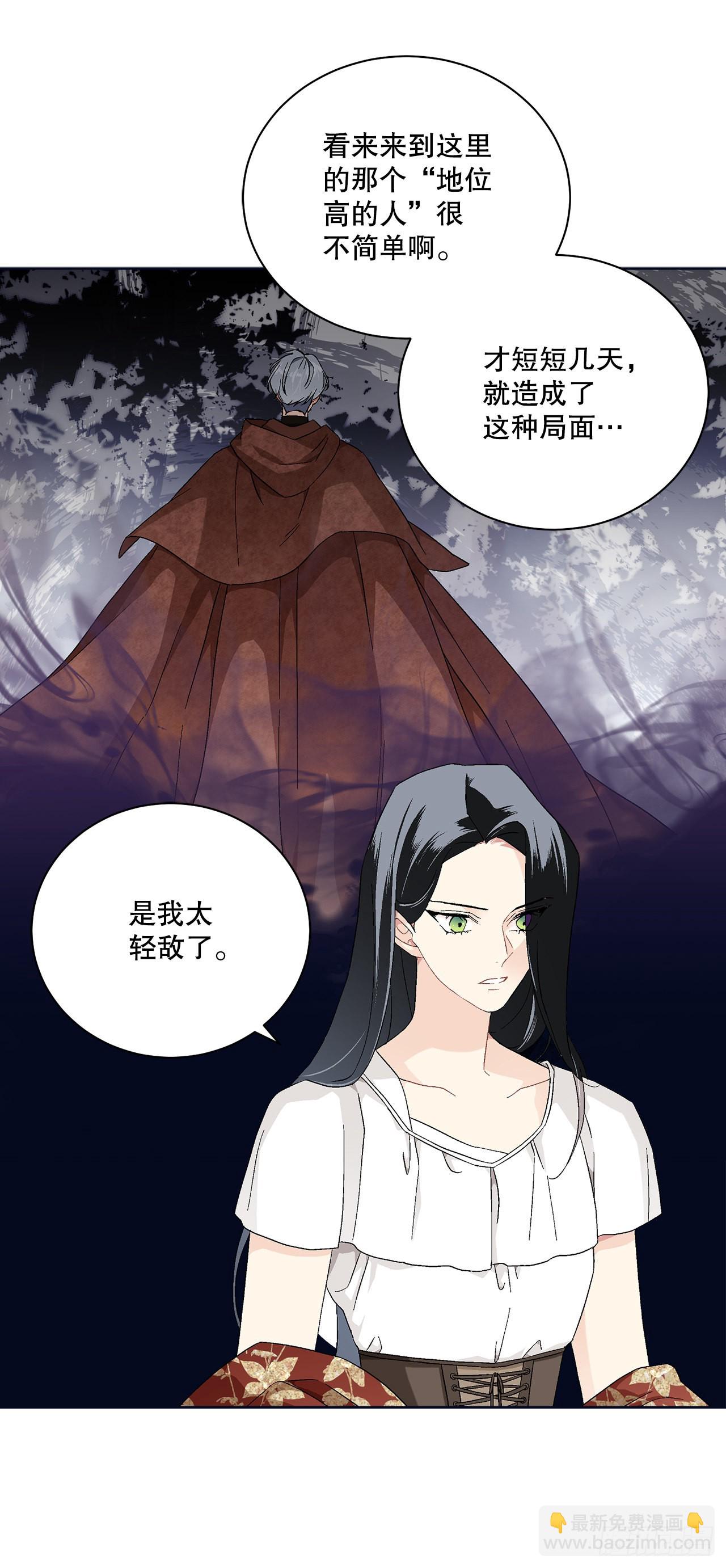 《异族侍女逆袭记》75.制定计划 第4页