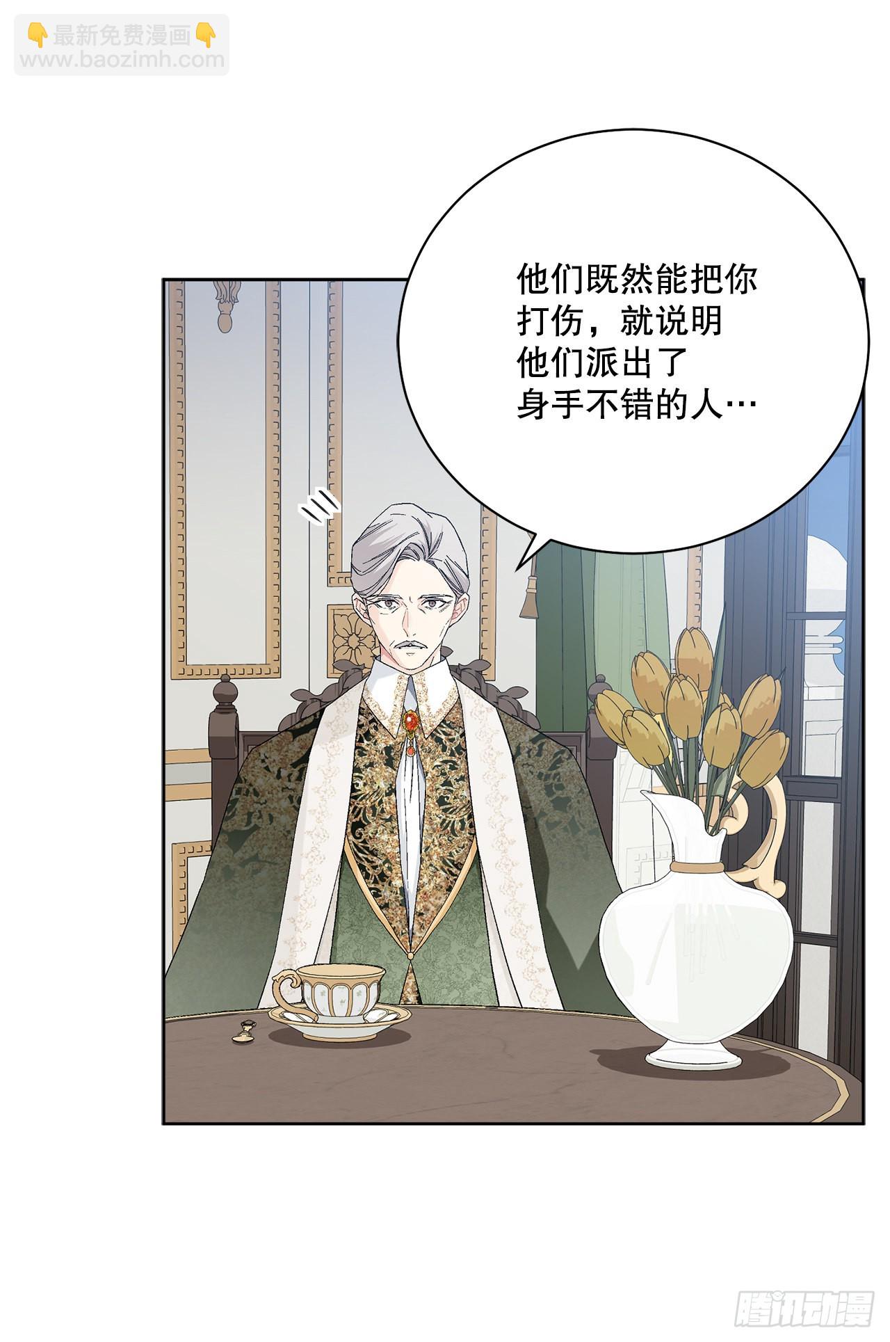 《异族侍女逆袭记》80.投靠公爵 第28页