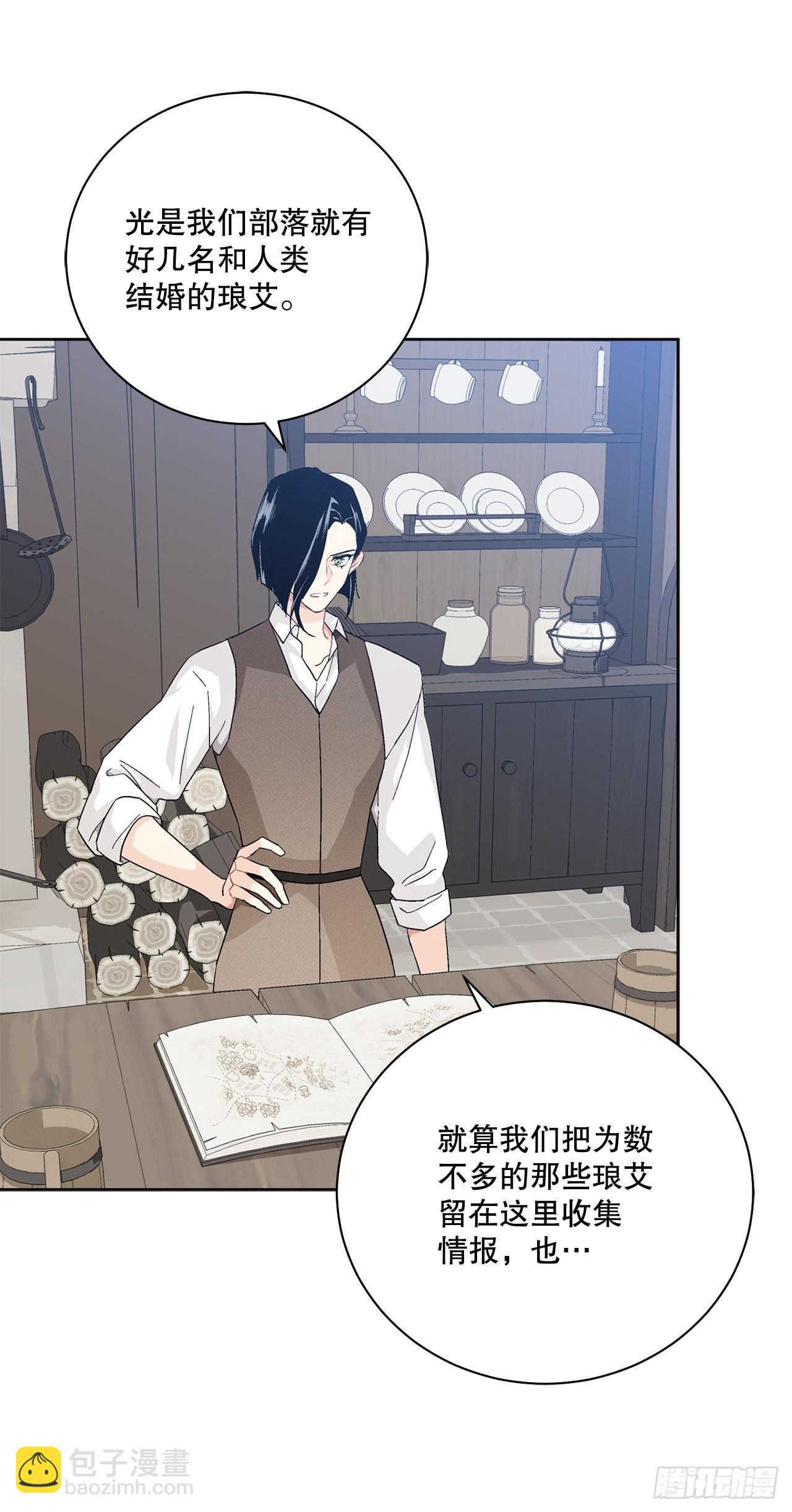 《异族侍女逆袭记》87.琅艾的计划 第30页
