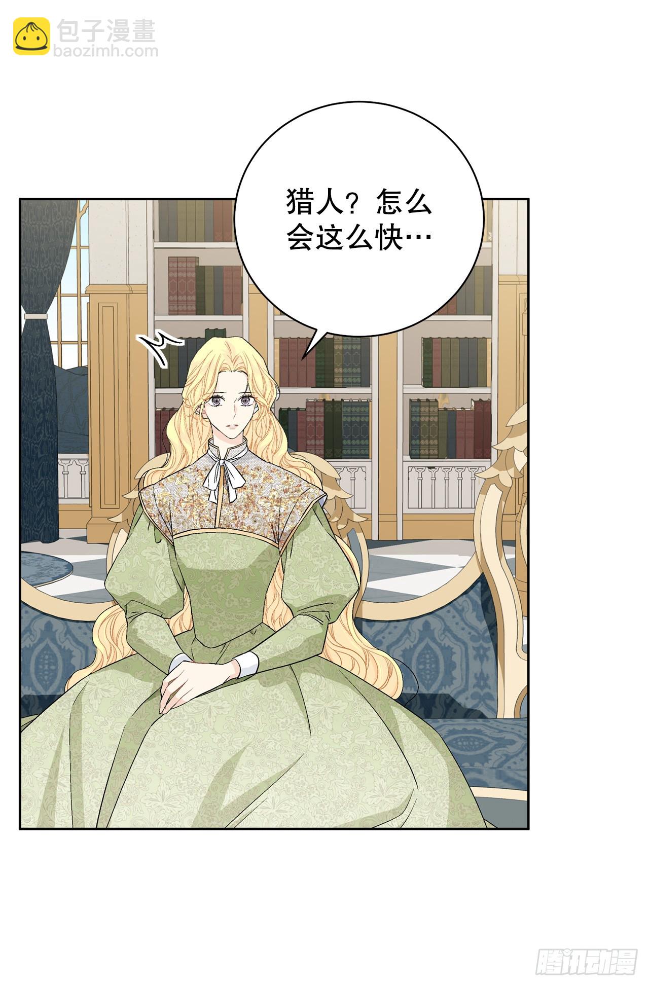 《异族侍女逆袭记》99.猎人出现 第29页