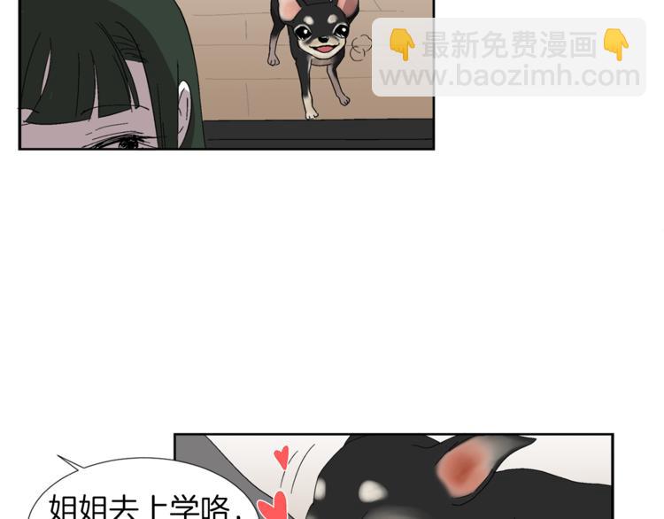 《完美少女堕落记》第1话 完美少女 第11页