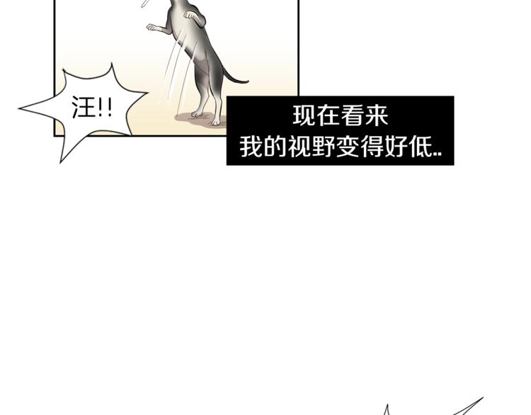 《完美少女堕落记》第4话 互换身体？！ 第39页