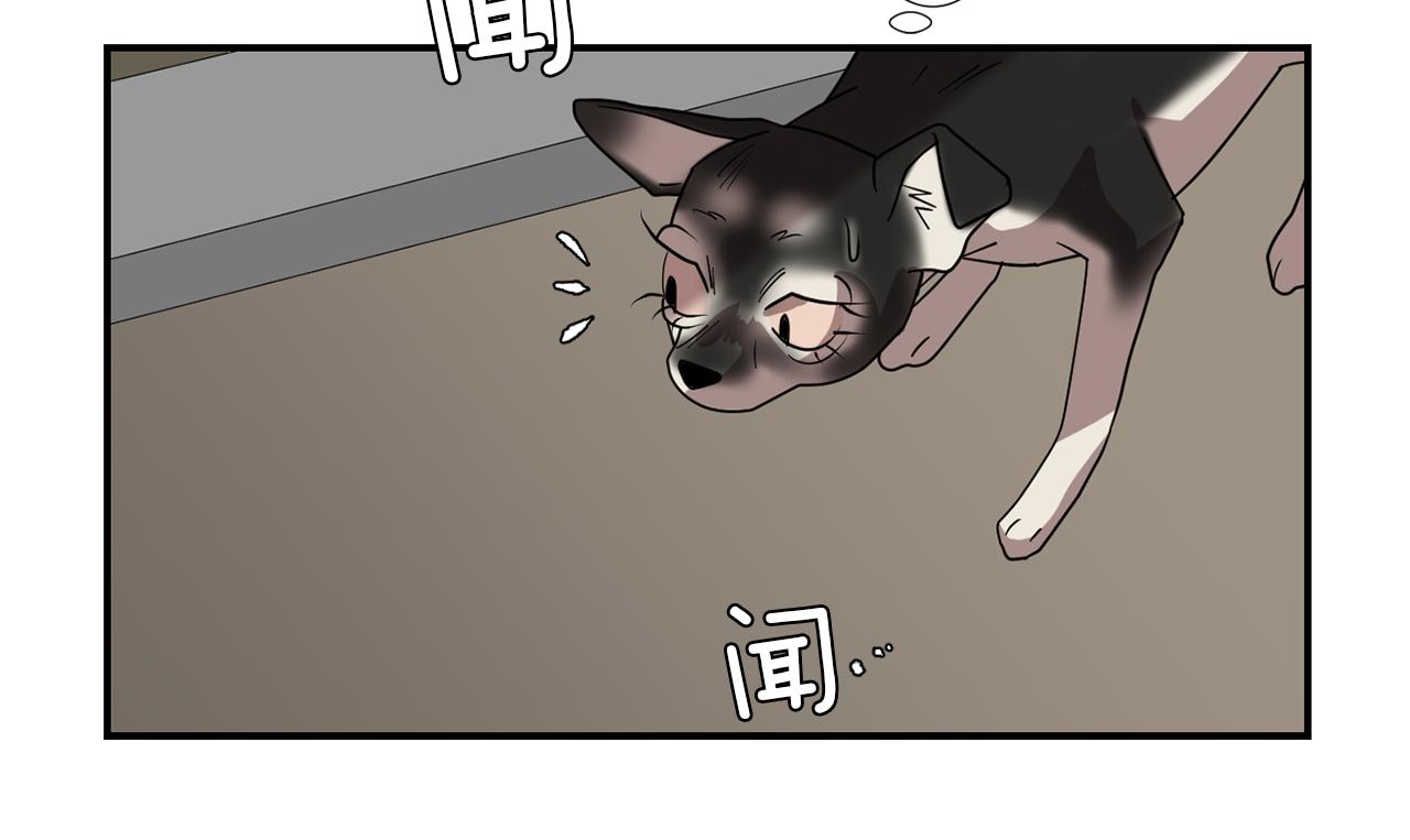 《完美少女堕落记》第68话 狭路相逢 第22页