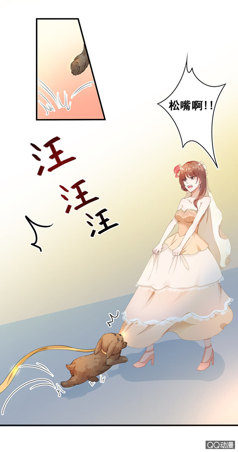 《家有恶妻》跟狗订婚 第11页
