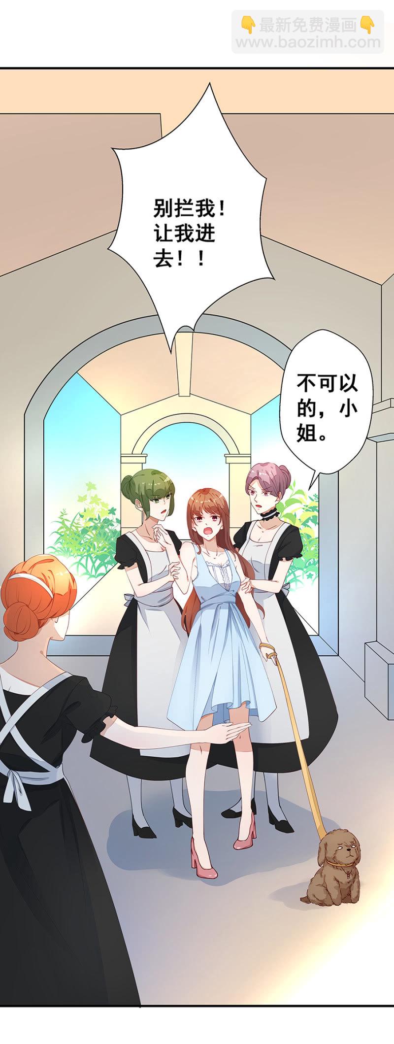 《家有恶妻》小封封 第3页