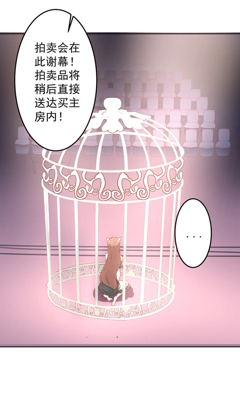 《家有恶妻》拍卖 第27页