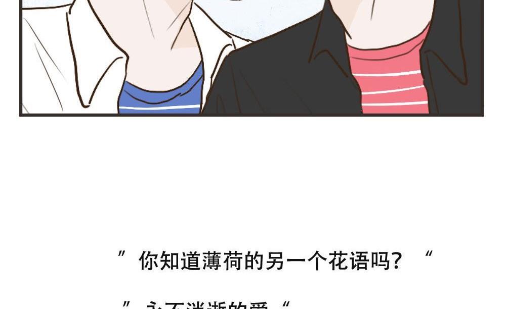 《软糖薄荷》第108话 【完结】我爱你 第41页