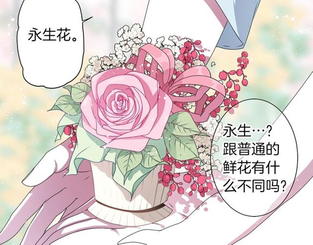 《灵烛少女》第24话 永生花之咒 第37页