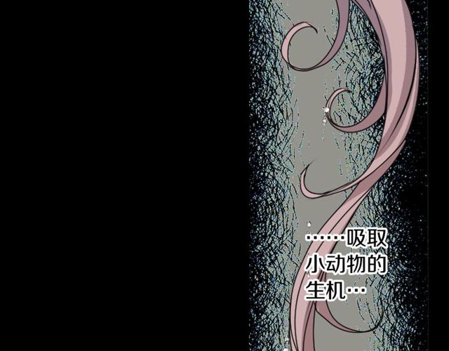 《灵烛少女》第28话 两个我？！ 第23页