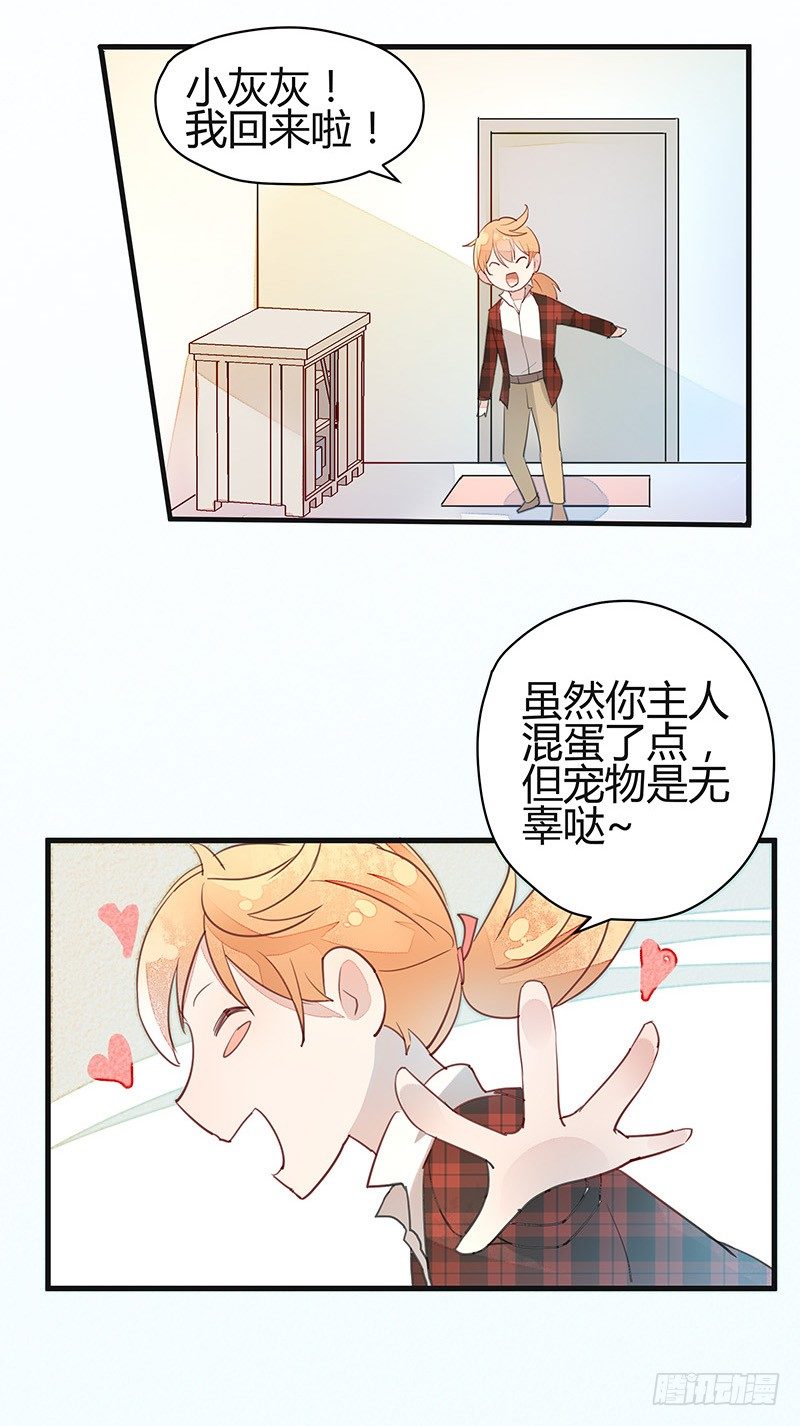 《大仙本是怪》小灰灰……丢了？ 第16页