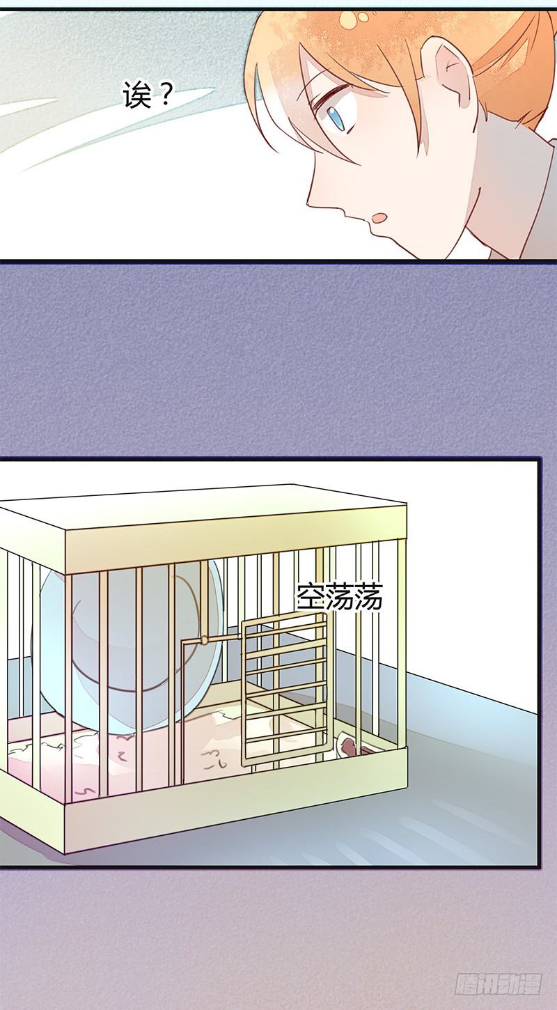 《大仙本是怪》小灰灰……丢了？ 第18页