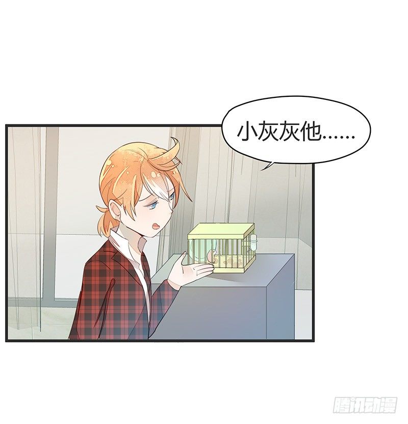 《大仙本是怪》又见面了呢…… 第8页