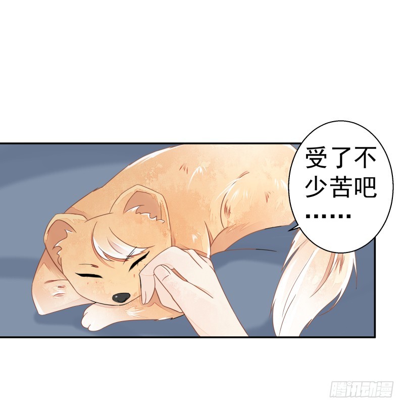 《大仙本是怪》建国的身世 第42页