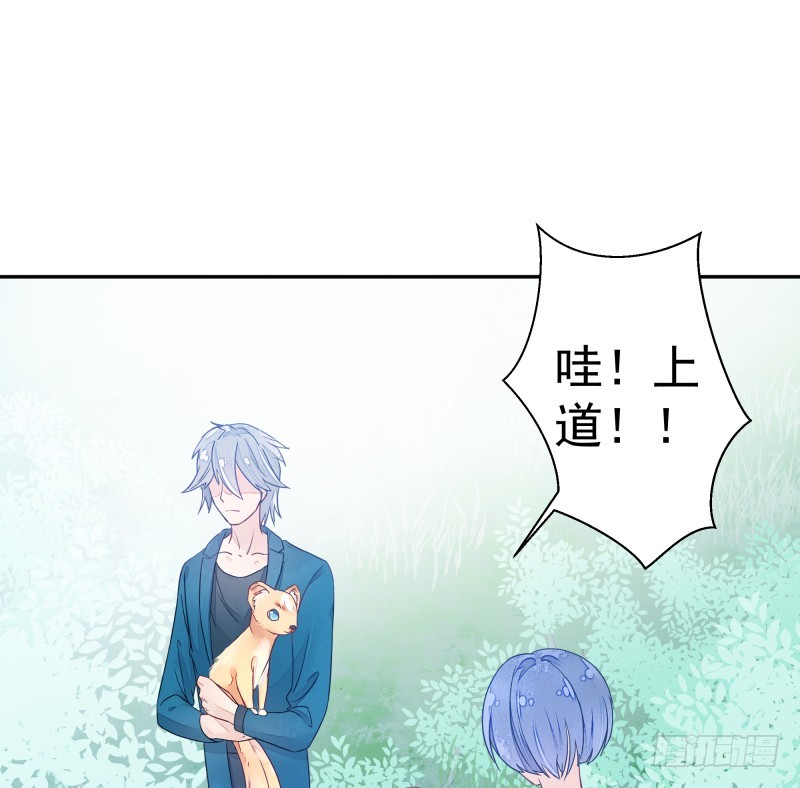 《大仙本是怪》商议 第13页