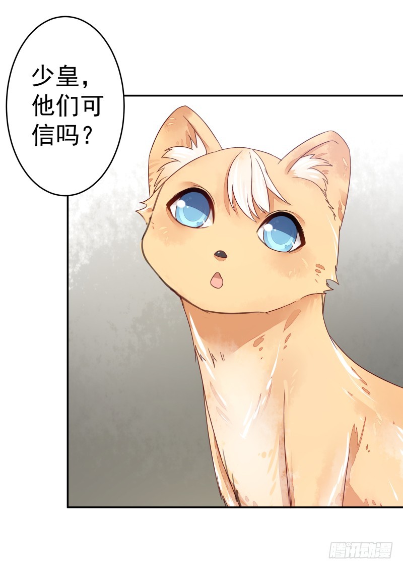 《大仙本是怪》商议 第17页