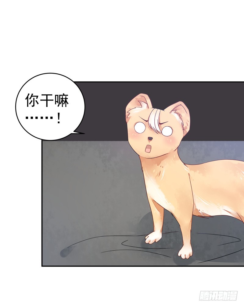 《大仙本是怪》商议 第19页