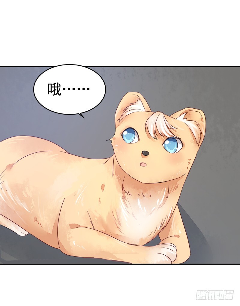 《大仙本是怪》商议 第21页