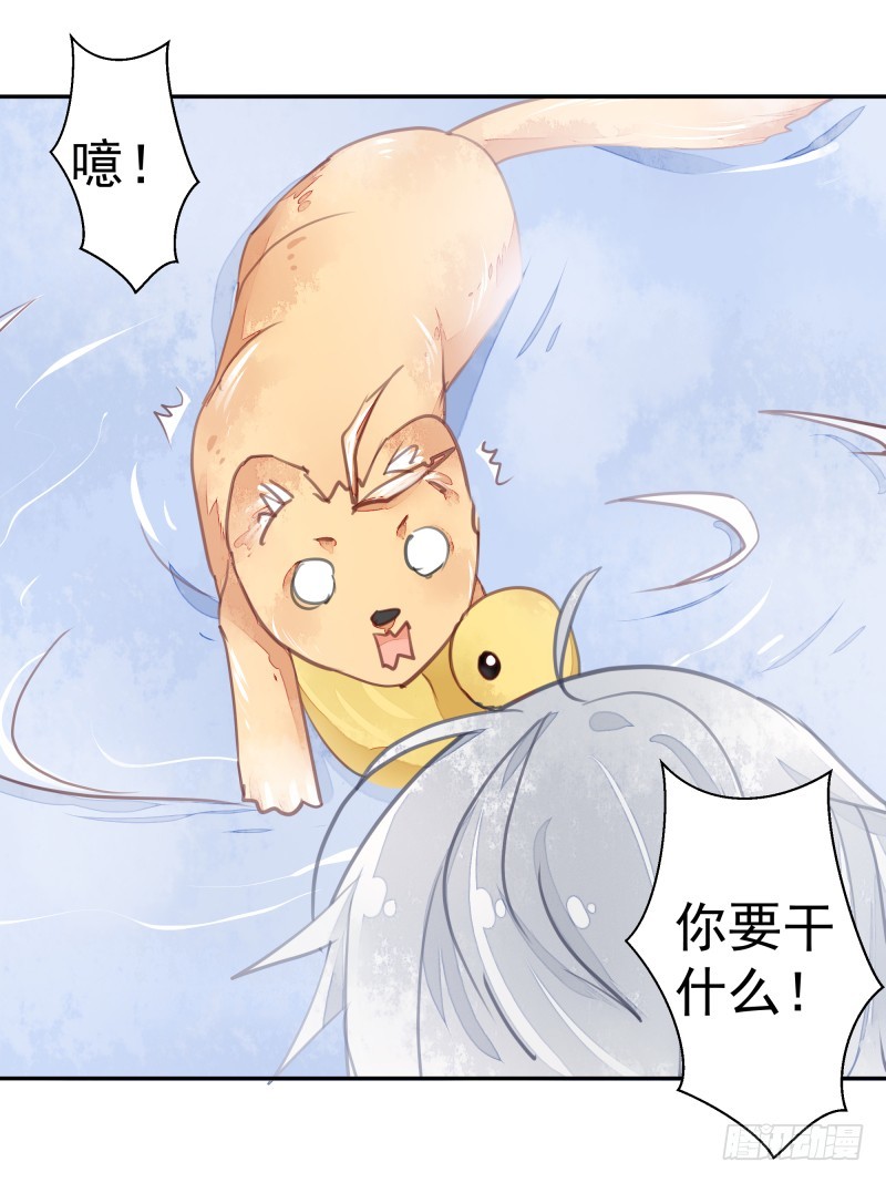 《大仙本是怪》商议 第46页