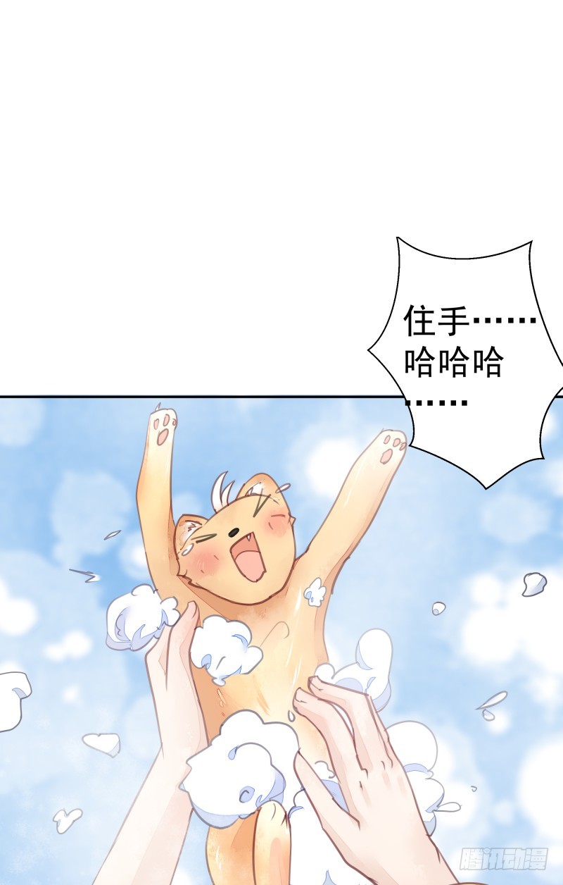 《大仙本是怪》商议 第48页