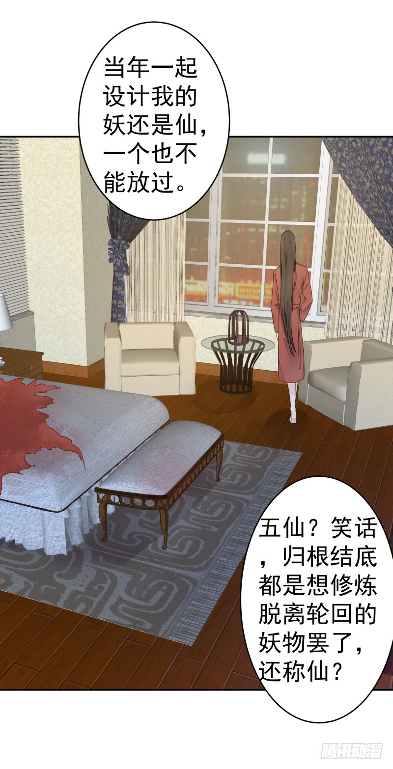 《大仙本是怪》和评议会 第41页