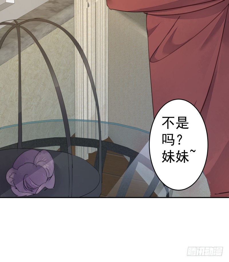 《大仙本是怪》和评议会 第43页