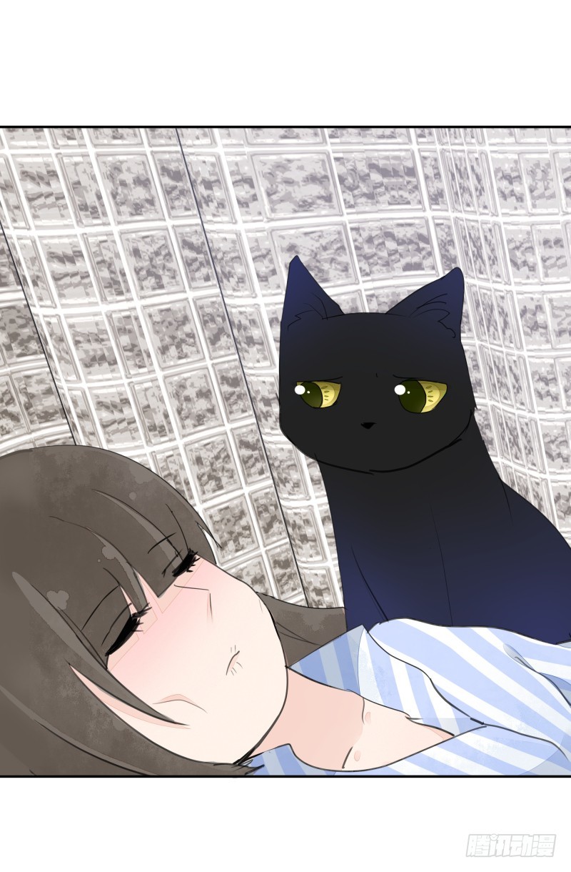 《大仙本是怪》黑色猫妖 第25页