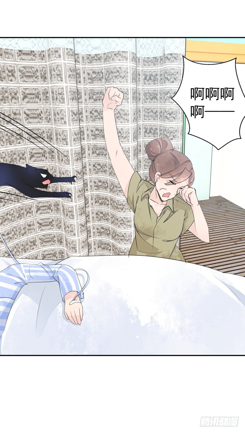 《大仙本是怪》黑色猫妖 第37页