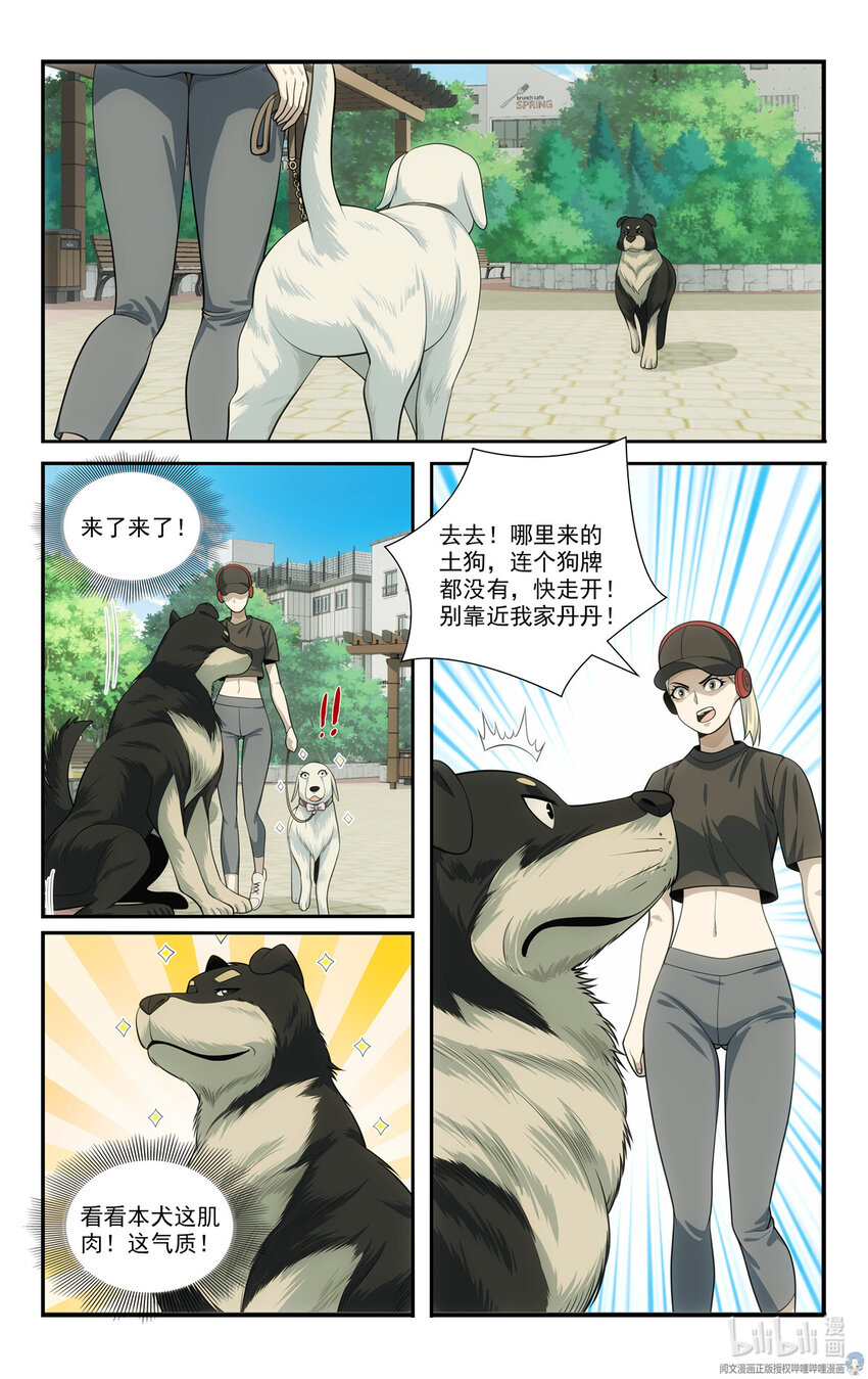 《我被系统托管了》69 两条狗 第11页