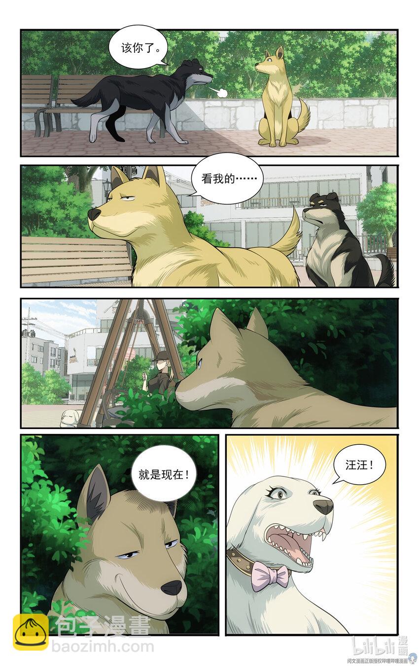 《我被系统托管了》69 两条狗 第12页