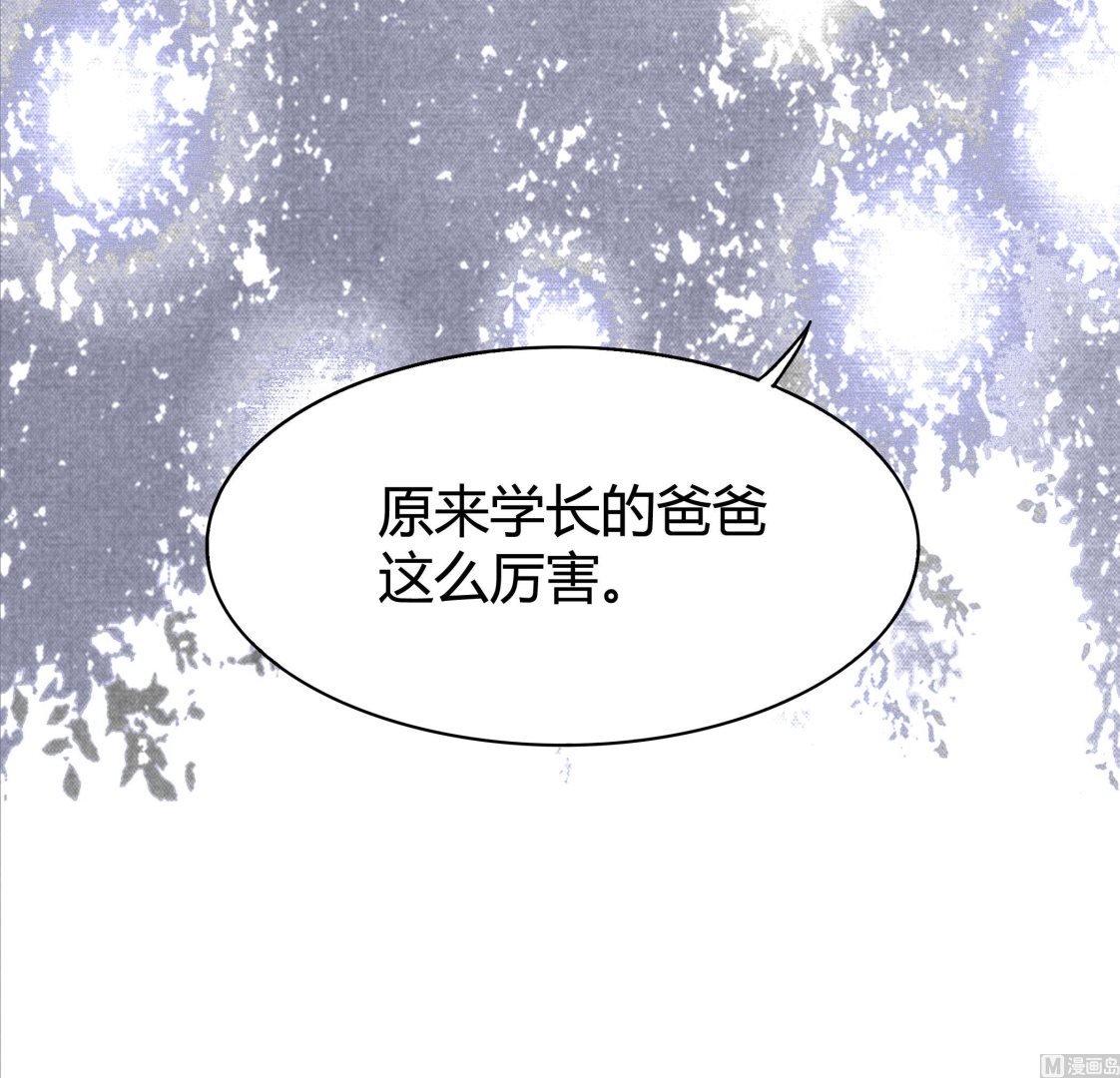 《星愿恋曲》第041话 是什么？ 第13页