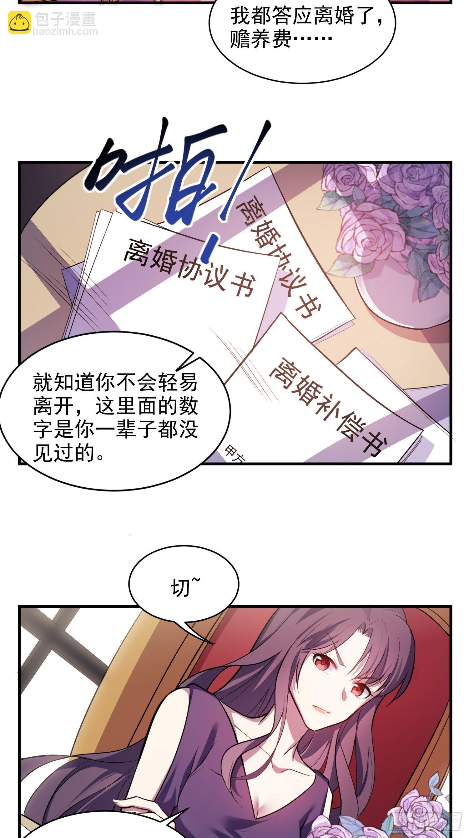 《我养了两个黑化魔法师》2.霸气宣言 第3页