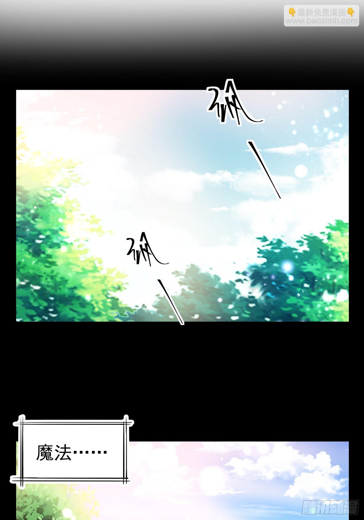 《我养了两个黑化魔法师》12.冒牌货的记忆 第20页
