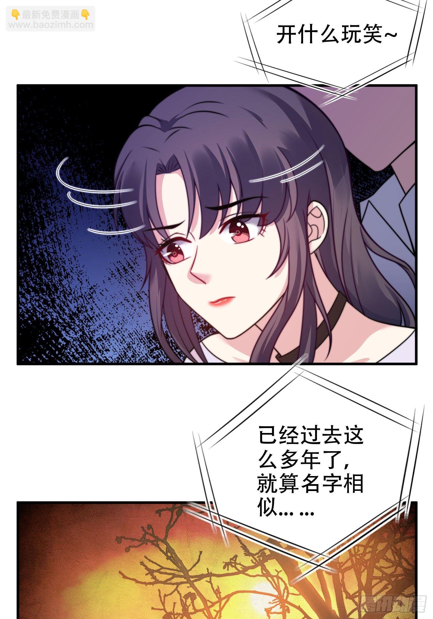 《我养了两个黑化魔法师》22.遇险 第4页