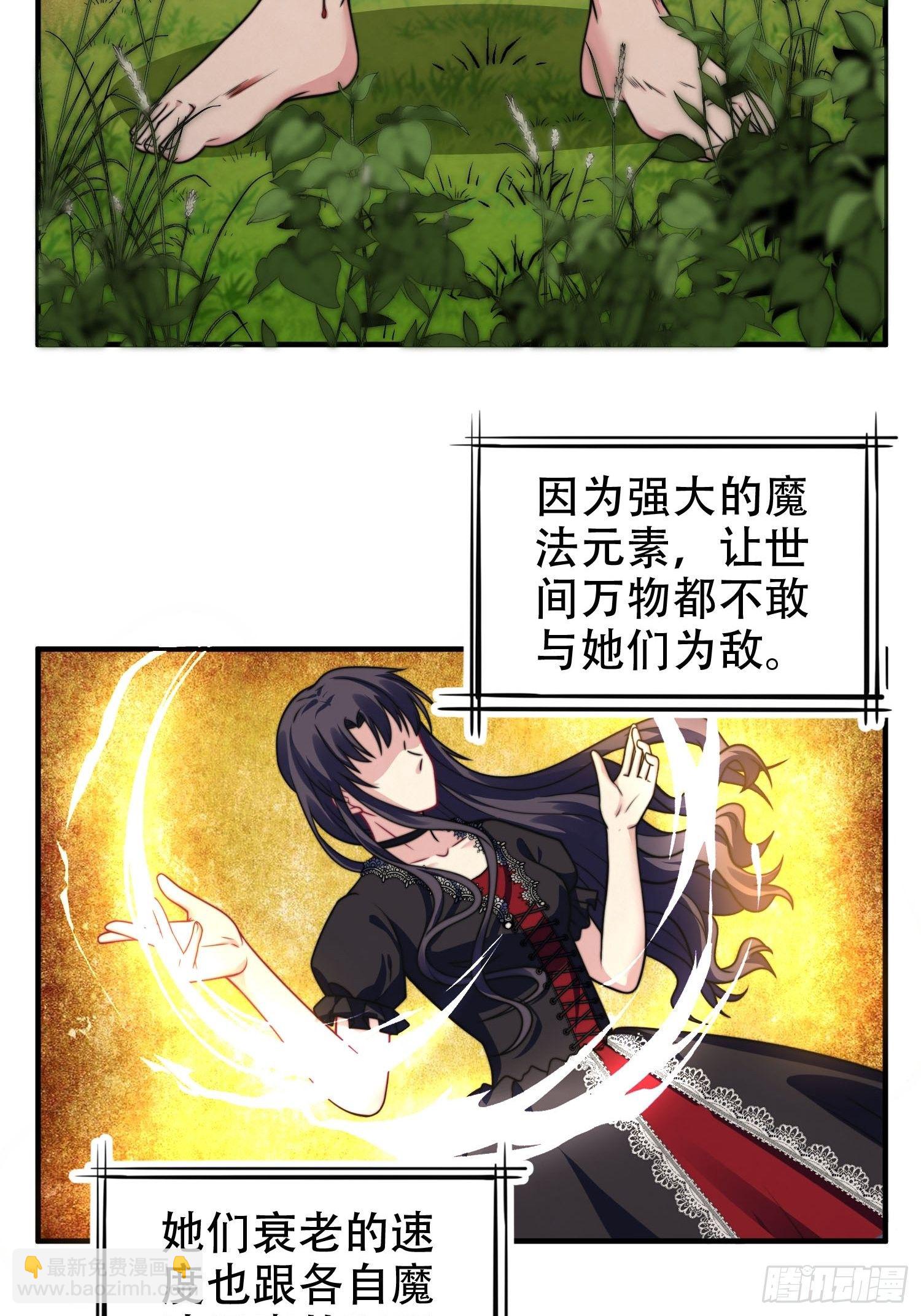 《我养了两个黑化魔法师》25.魔女—天生的恶魔 第5页