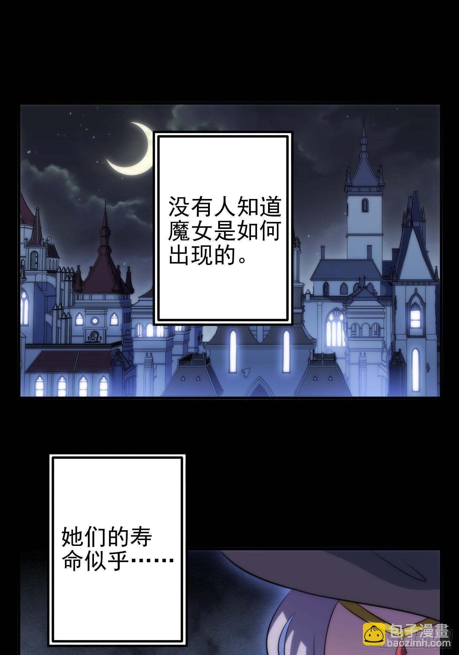 《我养了两个黑化魔法师》48.魔女复活术 第2页