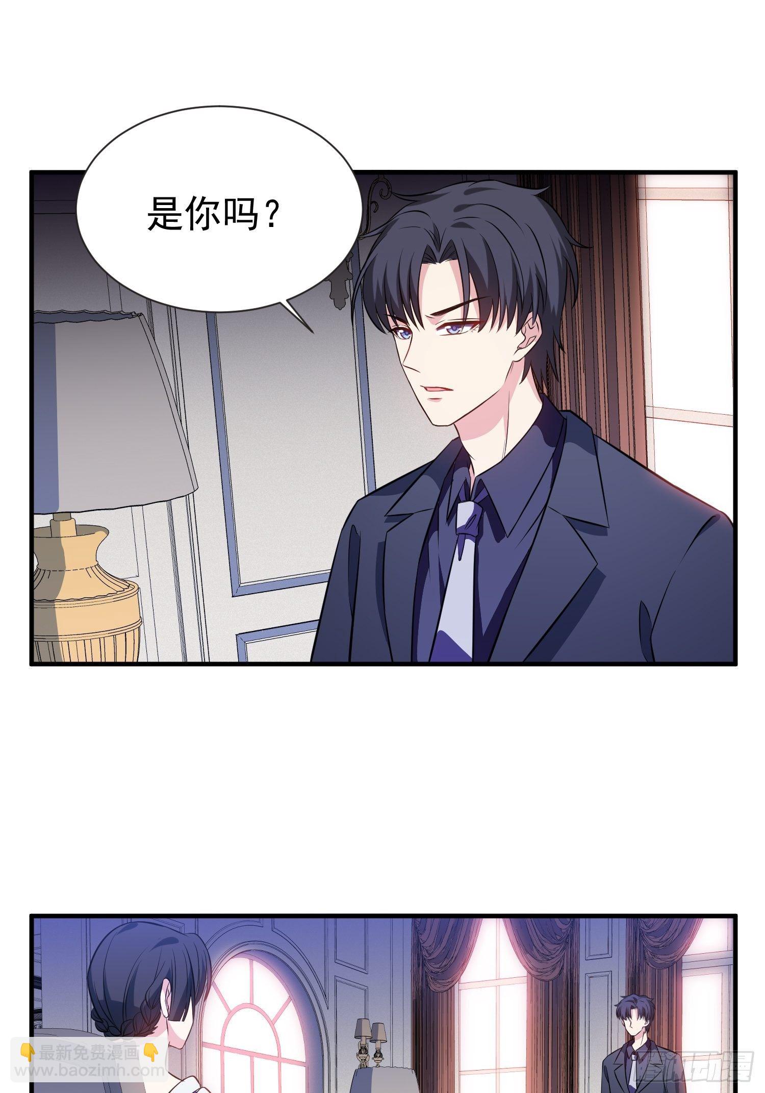 《我养了两个黑化魔法师》48.魔女复活术 第9页