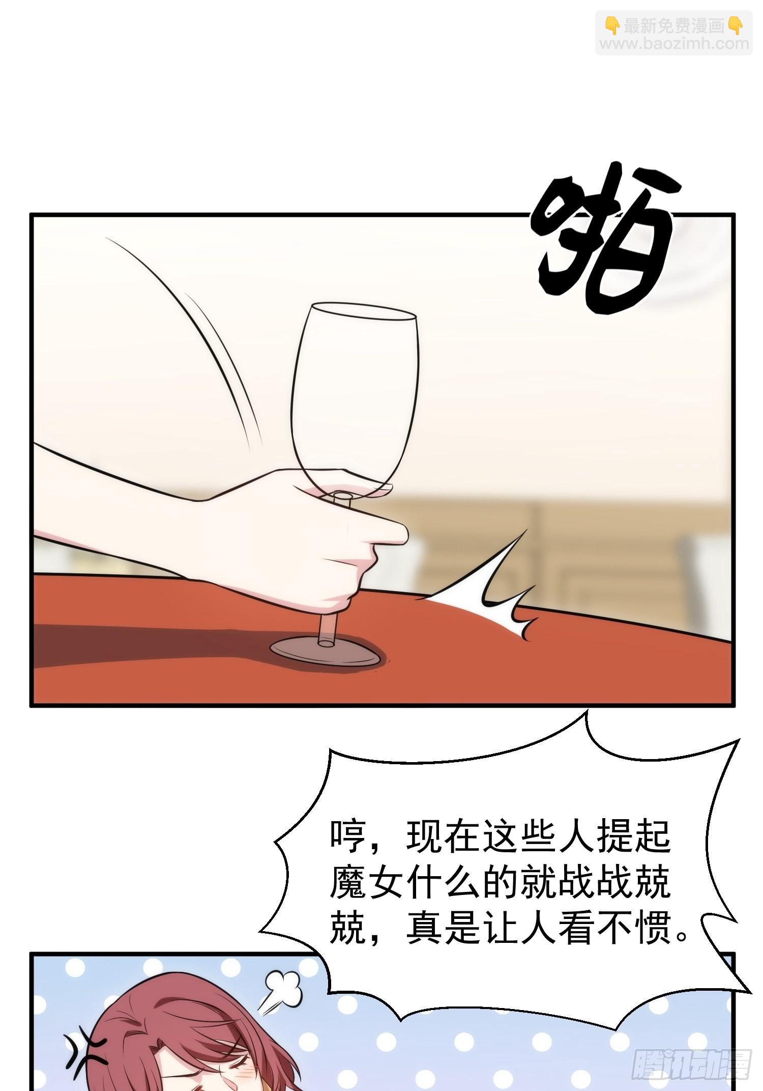 《我养了两个黑化魔法师》87.替魔女委屈 第25页
