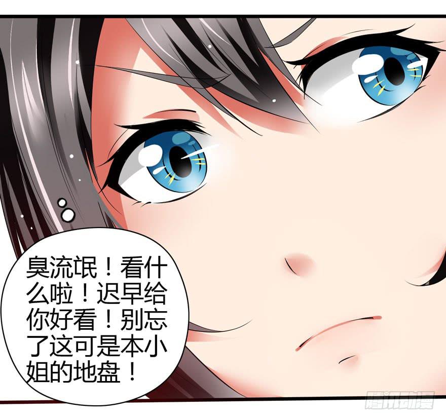 《守护之羽》计划开始！ 第17页