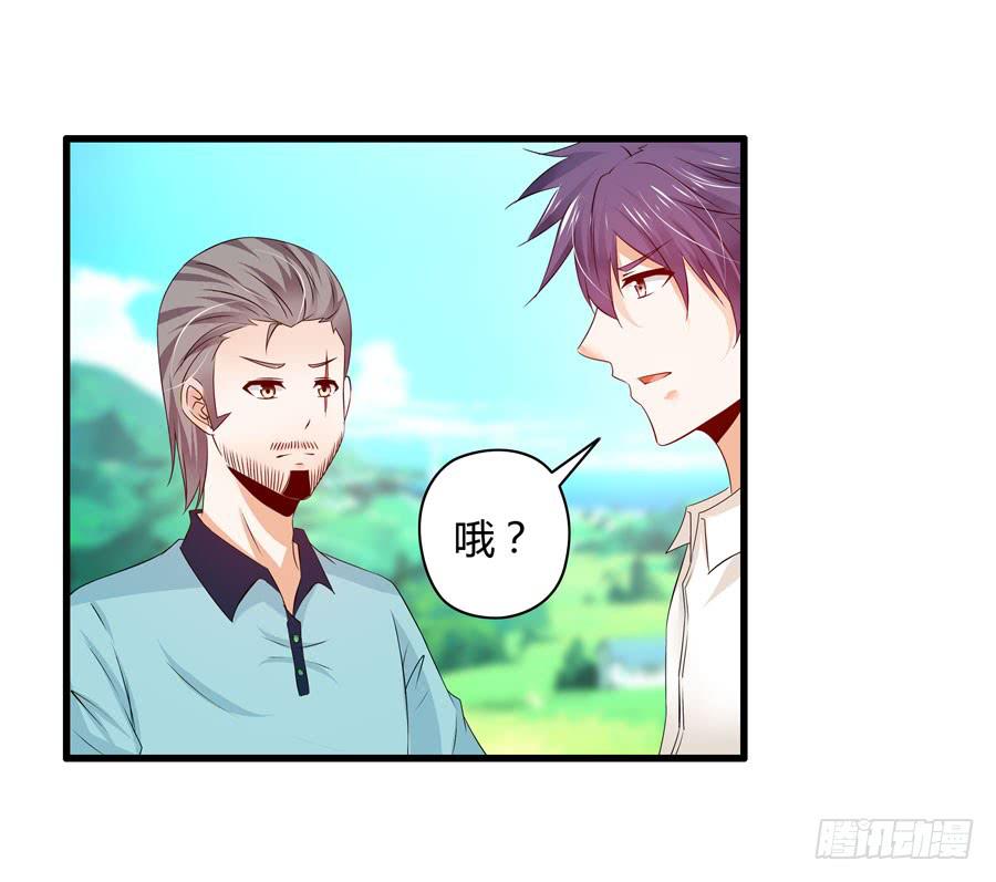 《守护之羽》真实目的 第13页