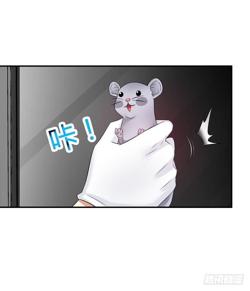 《守护之羽》老鼠来袭 第28页