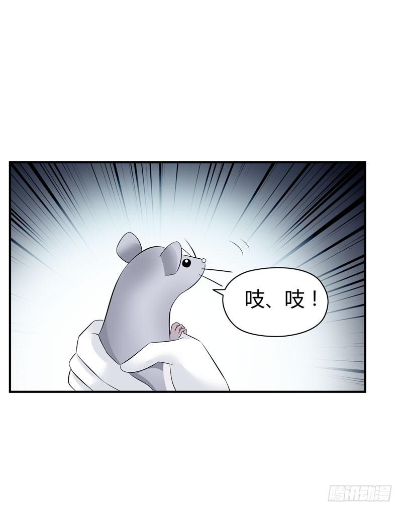 《守护之羽》老鼠来袭 第31页